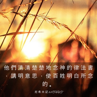 Picture 03 - 尼 希 米 記 8:8 CUVT - 他 們 清 清 楚 楚 地 念 神 的 律 法 - Bible Verse Picture