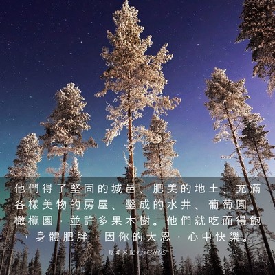 Picture 03 - 尼 希 米 記 9:25 CUVT - 他 們 得 了 堅 固 的 城 邑 、 肥 美 - Bible Verse Picture