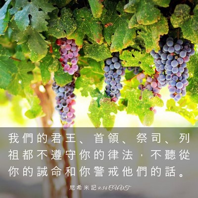 Picture 03 - 尼 希 米 記 9:34 CUVT - 我 們 的 君 王 、 首 領 、 祭 司 、 - Bible Verse Picture