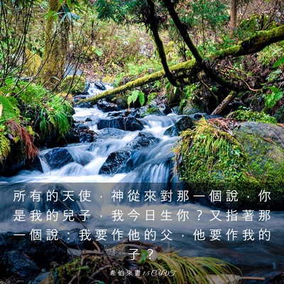 Picture 03 - 希 伯 來 書 1:5 CUVT - 所 有 的 天 使 ， 神 從 來 對 那 一 - Bible Verse Picture