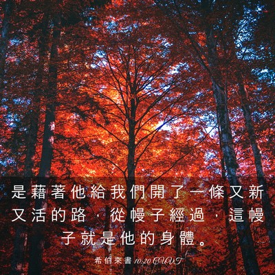 Picture 03 - 希 伯 來 書 10:20 CUVT - 是 藉 著 他 給 我 們 開 了 一 條 又 - Bible Verse Picture