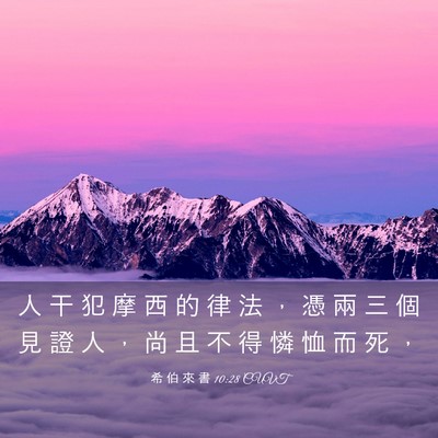 Picture 03 - 希 伯 來 書 10:28 CUVT - 人 干 犯 摩 西 的 律 法 ， 憑 兩 三 - Bible Verse Picture