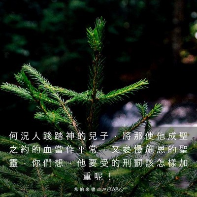 Picture 03 - 希 伯 來 書 10:29 CUVT - 何 況 人 踐 踏 神 的 兒 子 ， 將 那 - Bible Verse Picture