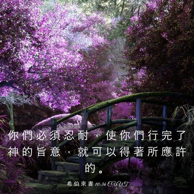 Picture 03 - 希 伯 來 書 10:36 CUVT - 你 們 必 須 忍 耐 ， 使 你 們 行 完 - Bible Verse Picture
