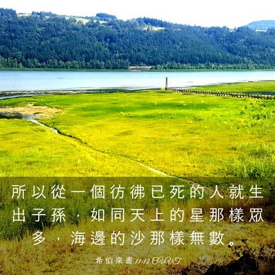Picture 03 - 希 伯 來 書 11:12 CUVT - 所 以 從 一 個 彷 彿 已 死 的 人 就 - Bible Verse Picture
