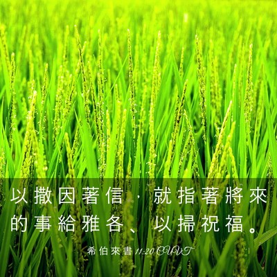 Picture 03 - 希 伯 來 書 11:20 CUVT - 以 撒 因 著 信 ， 就 指 著 將 來 的 - Bible Verse Picture