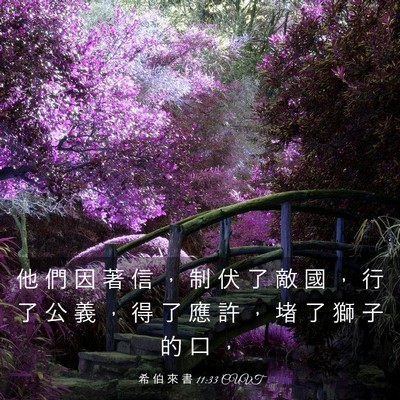 Picture 03 - 希 伯 來 書 11:33 CUVT - 他 們 因 著 信 ， 制 伏 了 敵 國 ， - Bible Verse Picture