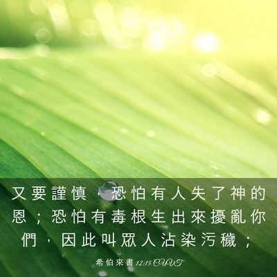 Picture 03 - 希 伯 來 書 12:15 CUVT - 又 要 謹 慎 ， 恐 怕 有 人 失 了 神 - Bible Verse Picture