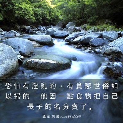 Picture 03 - 希 伯 來 書 12:16 CUVT - 恐 怕 有 淫 亂 的 ， 有 貪 戀 世 俗 - Bible Verse Picture