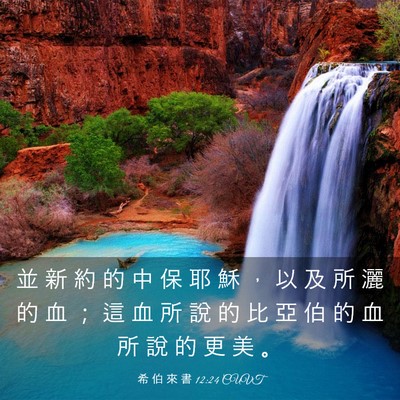Picture 03 - 希 伯 來 書 12:24 CUVT - 並 新 約 的 中 保 耶 穌 ， 以 及 所 - Bible Verse Picture
