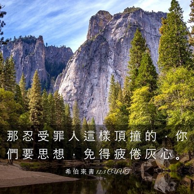Picture 03 - 希 伯 來 書 12:3 CUVT - 那 忍 受 罪 人 這 樣 頂 撞 的 ， 你 - Bible Verse Picture