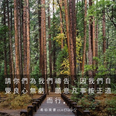 Picture 03 - 希 伯 來 書 13:18 CUVT - 請 你 們 為 我 們 禱 告 ， 因 我 們 - Bible Verse Picture