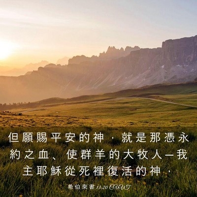 Picture 03 - 希 伯 來 書 13:20 CUVT - 但 願 賜 平 安 的 神 ， 就 是 那 憑 - Bible Verse Picture