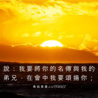 Picture 03 - 希 伯 來 書 2:12 CUVT - 說 ： 我 要 將 你 的 名 傳 與 我 的 - Bible Verse Picture