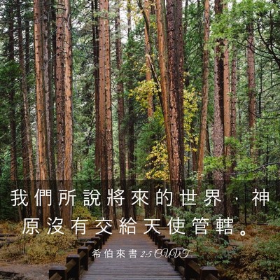 Picture 03 - 希 伯 來 書 2:5 CUVT - 我 們 所 說 將 來 的 世 界 ， 神 原 - Bible Verse Picture