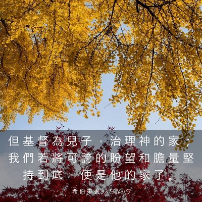 Picture 03 - 希 伯 來 書 3:6 CUVT - 但 基 督 為 兒 子 ， 治 理 神 的 家 - Bible Verse Picture