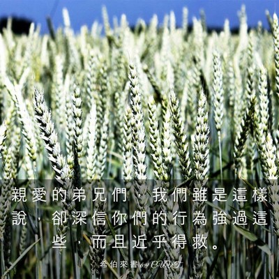 Picture 03 - 希 伯 來 書 6:9 CUVT - 親 愛 的 弟 兄 們 ， 我 們 雖 是 這 - Bible Verse Picture