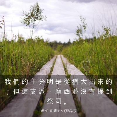 Picture 03 - 希 伯 來 書 7:14 CUVT - 我 們 的 主 分 明 是 從 猶 大 出 來 - Bible Verse Picture