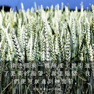 Picture 03 - 希 伯 來 書 7:19 CUVT - （ 律 法 原 來 一 無 所 成 ） 就 引 - Bible Verse Picture