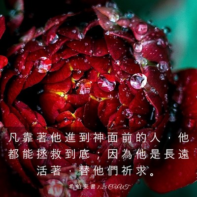 Picture 03 - 希 伯 來 書 7:25 CUVT - 凡 靠 著 他 進 到 神 面 前 的 人 ， - Bible Verse Picture