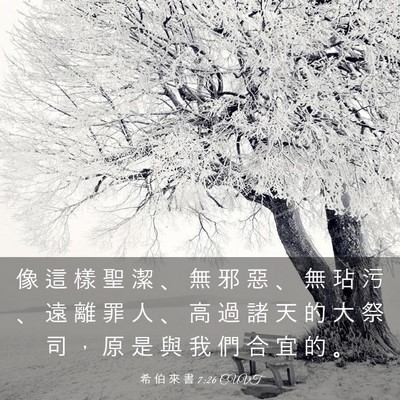 Picture 03 - 希 伯 來 書 7:26 CUVT - 像 這 樣 聖 潔 、 無 邪 惡 、 無 玷 - Bible Verse Picture