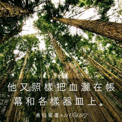 Picture 03 - 希 伯 來 書 9:21 CUVT - 他 又 照 樣 把 血 灑 在 帳 幕 和 各 - Bible Verse Picture