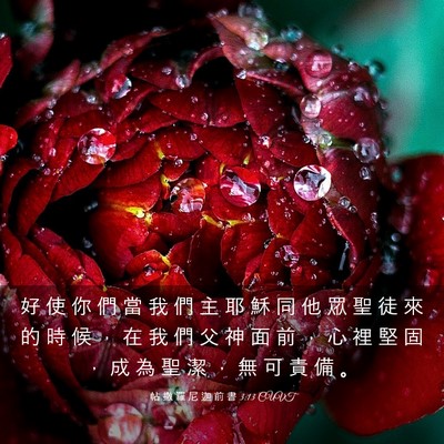 Picture 03 - 帖 撒 羅 尼 迦 前 書 3:13 CUVT - 好 使 你 們 當 我 們 主 耶 穌 同 他 - Bible Verse Picture