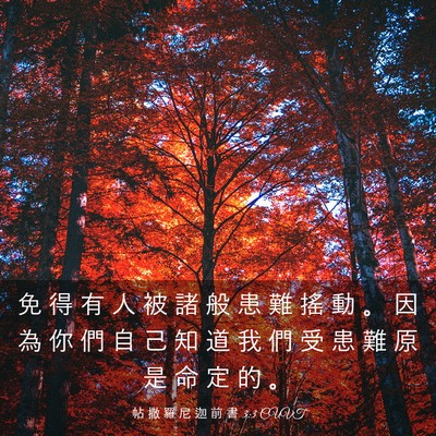 Picture 03 - 帖 撒 羅 尼 迦 前 書 3:3 CUVT - 免 得 有 人 被 諸 般 患 難 搖 動 。 - Bible Verse Picture
