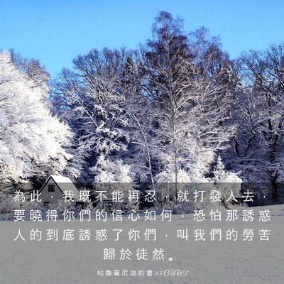 Picture 03 - 帖 撒 羅 尼 迦 前 書 3:5 CUVT - 為 此 ， 我 既 不 能 再 忍 ， 就 打 - Bible Verse Picture