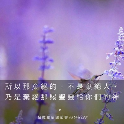 Picture 03 - 帖 撒 羅 尼 迦 前 書 4:8 CUVT - 所 以 那 棄 絕 的 ， 不 是 棄 絕 人 - Bible Verse Picture