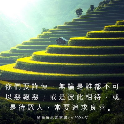 Picture 03 - 帖 撒 羅 尼 迦 前 書 5:15 CUVT - 你 們 要 謹 慎 ， 無 論 是 誰 都 不 - Bible Verse Picture