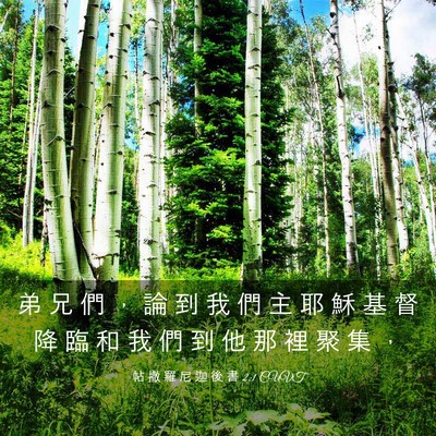 Picture 03 - 帖 撒 羅 尼 迦 後 書 2:1 CUVT - 弟 兄 們 ， 論 到 我 們 主 耶 穌 基 - Bible Verse Picture