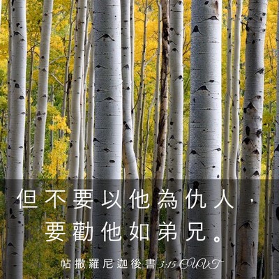 Picture 03 - 帖 撒 羅 尼 迦 後 書 3:15 CUVT - 但 不 要 以 他 為 仇 人 ， 要 勸 他 - Bible Verse Picture