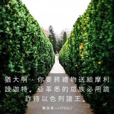 Picture 03 - 彌 迦 書 1:14 CUVT - 猶 大 啊 ， 你 要 將 禮 物 送 給 摩 - Bible Verse Picture