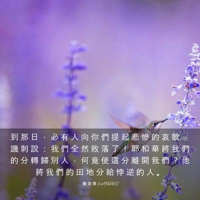Picture 03 - 彌 迦 書 2:4 CUVT - 到 那 日 ， 必 有 人 向 你 們 提 起 - Bible Verse Picture