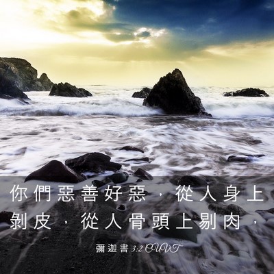 Picture 03 - 彌 迦 書 3:2 CUVT - 你 們 惡 善 好 惡 ， 從 人 身 上 剝 - Bible Verse Picture