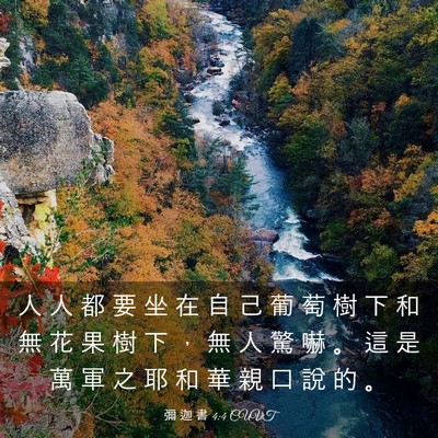 Picture 03 - 彌 迦 書 4:4 CUVT - 人 人 都 要 坐 在 自 己 葡 萄 樹 下 - Bible Verse Picture