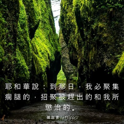 Picture 03 - 彌 迦 書 4:6 CUVT - 耶 和 華 說 ： 到 那 日 ， 我 必 聚 - Bible Verse Picture