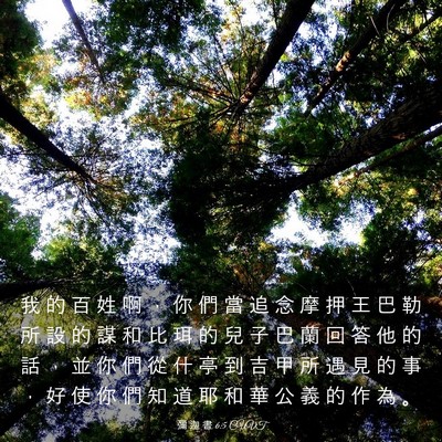 Picture 03 - 彌 迦 書 6:5 CUVT - 我 的 百 姓 啊 ， 你 們 當 追 念 摩 - Bible Verse Picture