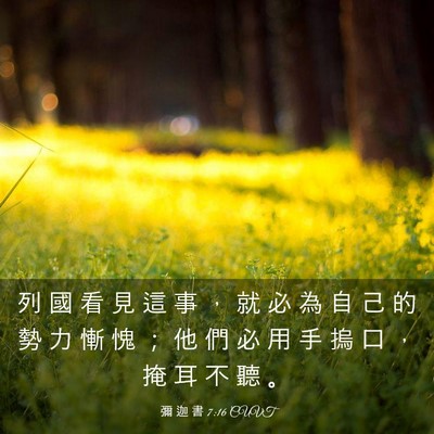 Picture 03 - 彌 迦 書 7:16 CUVT - 列 國 看 見 這 事 ， 就 必 為 自 己 - Bible Verse Picture