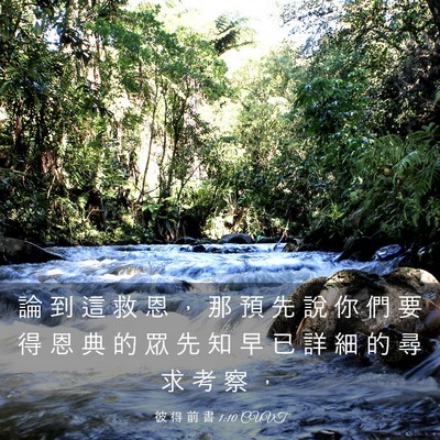 Picture 03 - 彼 得 前 書 1:10 CUVT - 論 到 這 救 恩 ， 那 預 先 說 你 們 - Bible Verse Picture