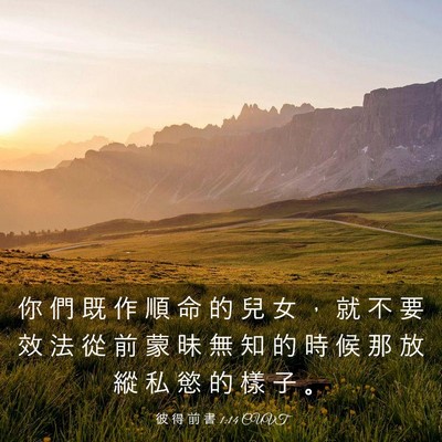 Picture 03 - 彼 得 前 書 1:14 CUVT - 你 們 既 作 順 命 的 兒 女 ， 就 不 - Bible Verse Picture