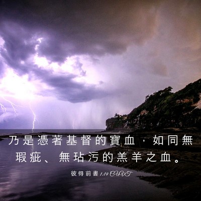 Picture 03 - 彼 得 前 書 1:19 CUVT - 乃 是 憑 著 基 督 的 寶 血 ， 如 同 - Bible Verse Picture