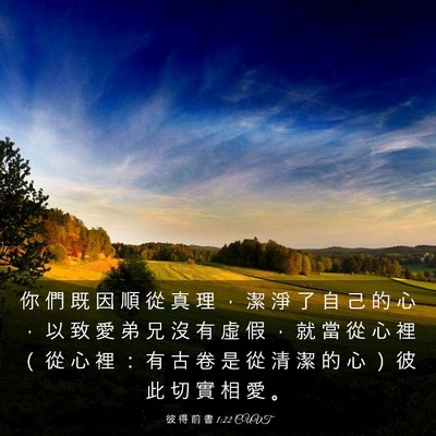 Picture 03 - 彼 得 前 書 1:22 CUVT - 你 們 既 因 順 從 真 理 ， 潔 淨 了 - Bible Verse Picture