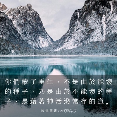 Picture 03 - 彼 得 前 書 1:23 CUVT - 你 們 蒙 了 重 生 ， 不 是 由 於 能 - Bible Verse Picture