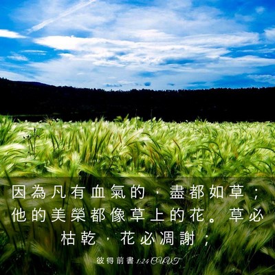Picture 03 - 彼 得 前 書 1:24 CUVT - 因 為 凡 有 血 氣 的 ， 盡 都 如 草 - Bible Verse Picture