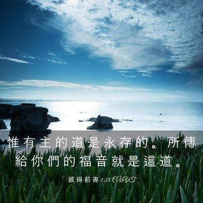 Picture 03 - 彼 得 前 書 1:25 CUVT - 惟 有 主 的 道 是 永 存 的 。 所 傳 - Bible Verse Picture