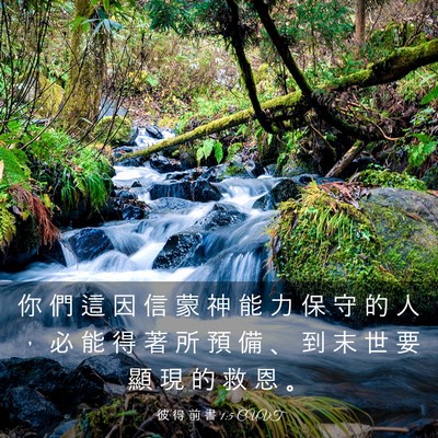 Picture 03 - 彼 得 前 書 1:5 CUVT - 你 們 這 因 信 蒙 神 能 力 保 守 的 - Bible Verse Picture