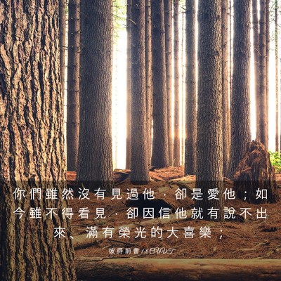 Picture 03 - 彼 得 前 書 1:8 CUVT - 你 們 雖 然 沒 有 見 過 他 ， 卻 是 - Bible Verse Picture