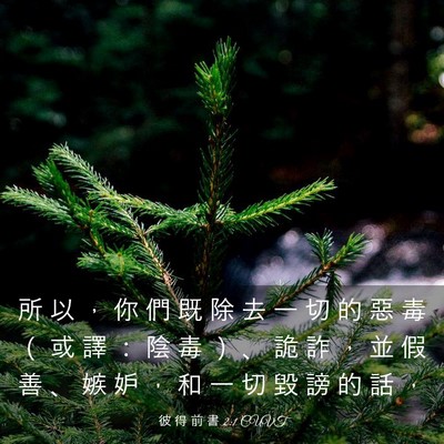 Picture 03 - 彼 得 前 書 2:1 CUVT - 所 以 ， 你 們 既 除 去 一 切 的 惡 - Bible Verse Picture